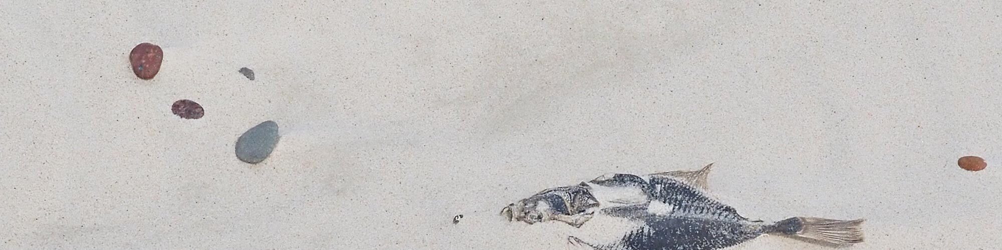 Slider Jahresbegleiter